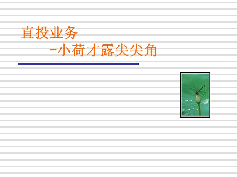 券商直接投资PPT.ppt_第1页