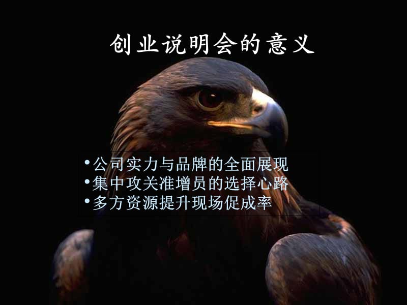 培训PPT创业说明会.ppt_第3页