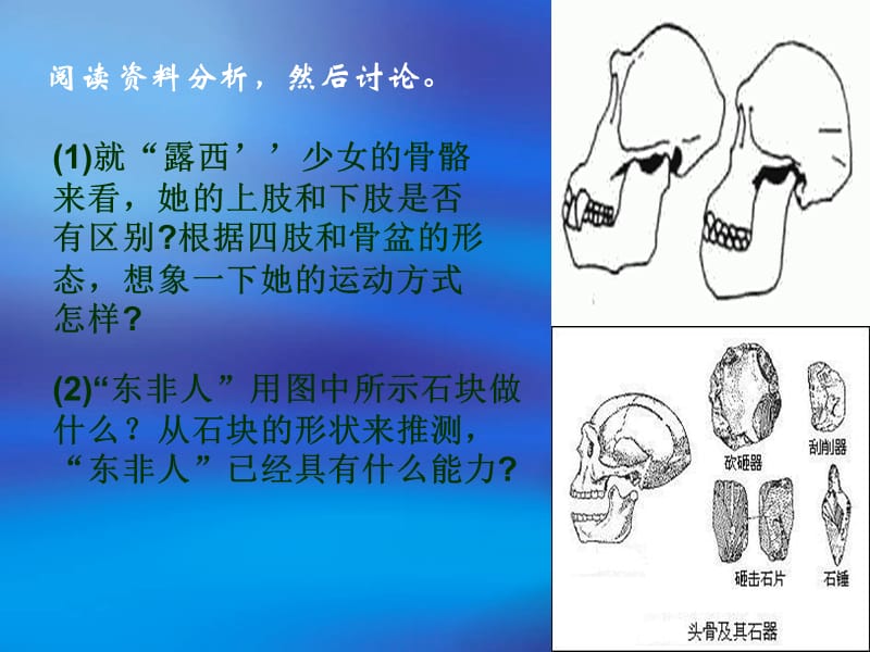 人教版初中生物七年级下册《人类的起源和发展》课件.ppt_第3页