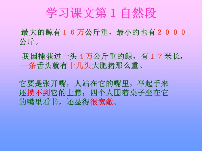 人教版小学语文《鲸》课件.ppt_第3页