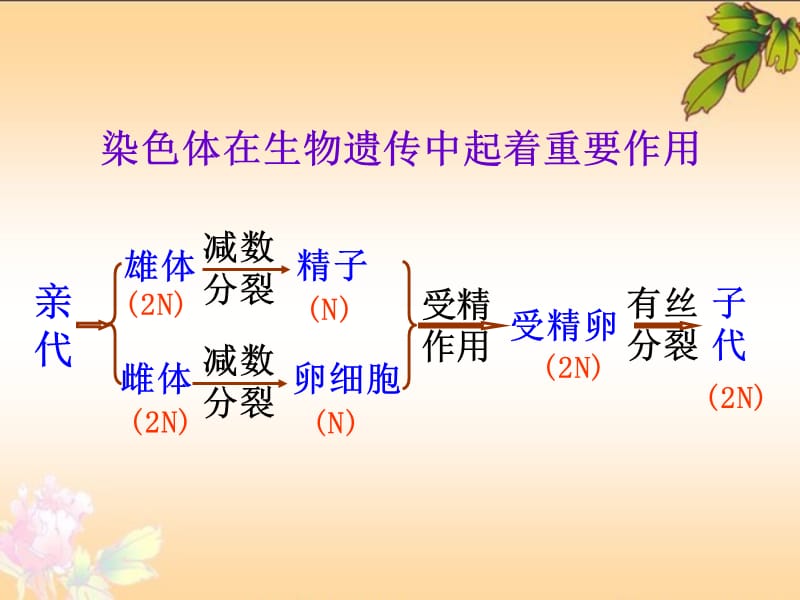 新课标人教版高中生物必修二第三章第一节《DNA是主要的遗传物质》精品课件.ppt_第2页