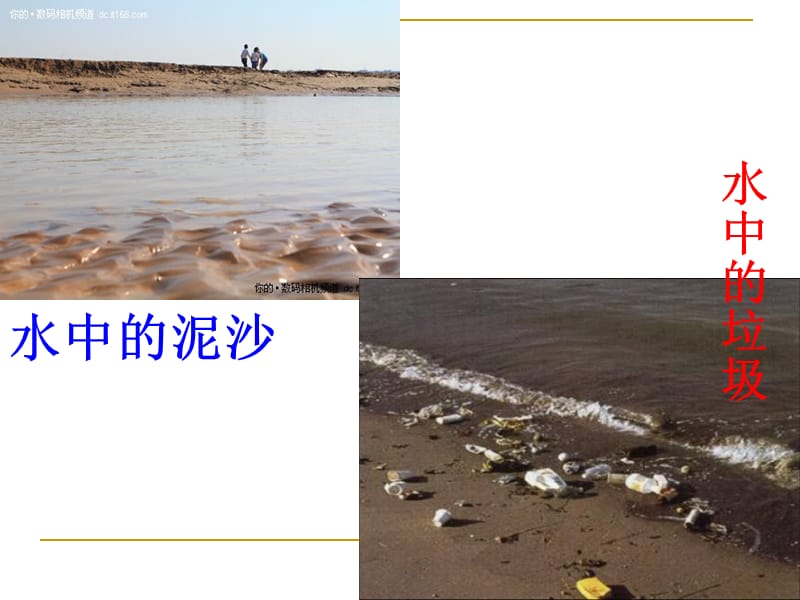 青岛版小学科学四年级上册《水里有什么》PPT.ppt_第2页