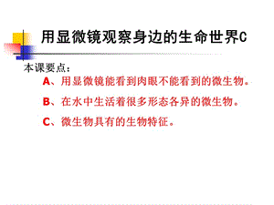 教科版小学科学《用显微镜观察身边的生命世界》 .ppt