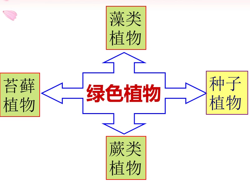 济南版初中生物七年级上册《绿色植物的主要类群》课件.ppt_第2页