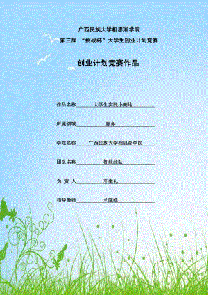 大学生创业计划竞赛作品 大学生实践小高地商业策划书.pdf