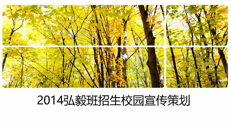 招生校园宣传方案.ppt_第1页