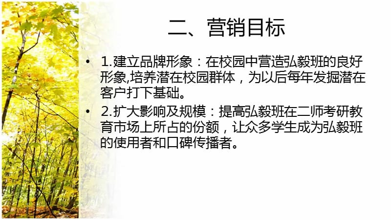 招生校园宣传方案.ppt_第3页