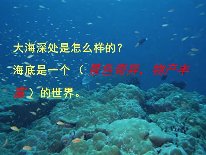 海底世界教学课件PPT.ppt_第3页