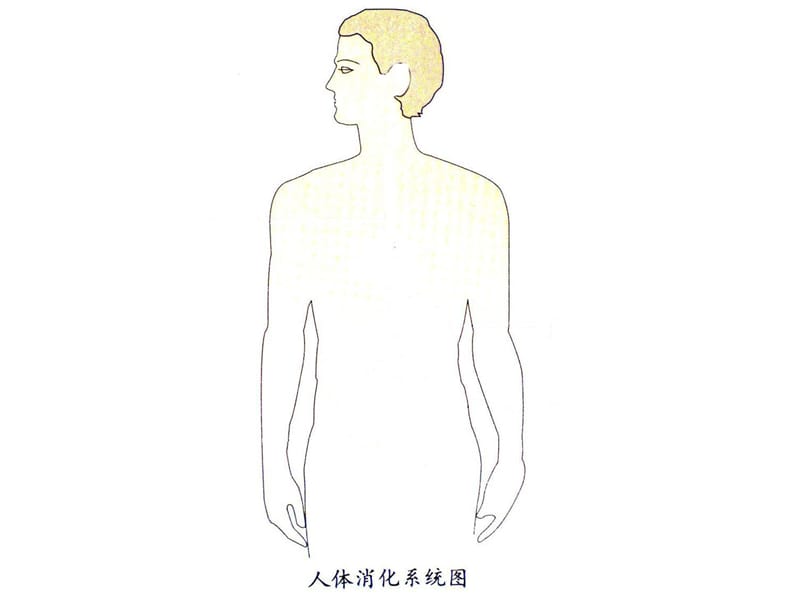 教科版小学科学四年级上册《食物在体内的旅行》课件　.ppt_第3页