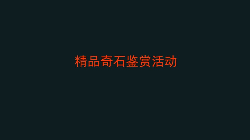 精品奇石鉴赏活动方案.ppt_第1页