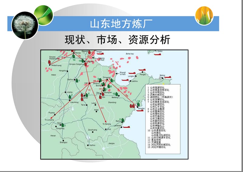 山东地方炼厂介绍PPT.ppt_第1页