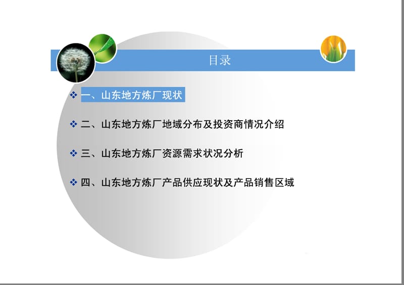 山东地方炼厂介绍PPT.ppt_第2页