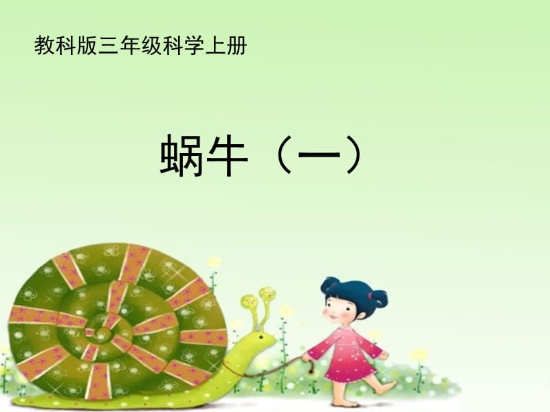 教科版小学三年级科学上册《蜗牛》课件　.ppt_第1页