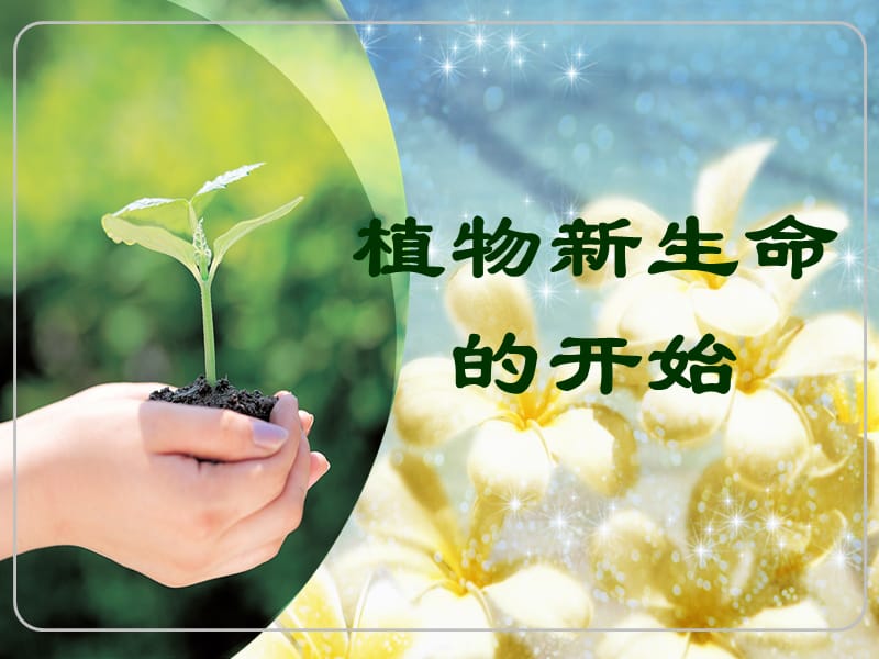 教科版小学科学三年级下册《植物新生命的开始》 .ppt_第1页