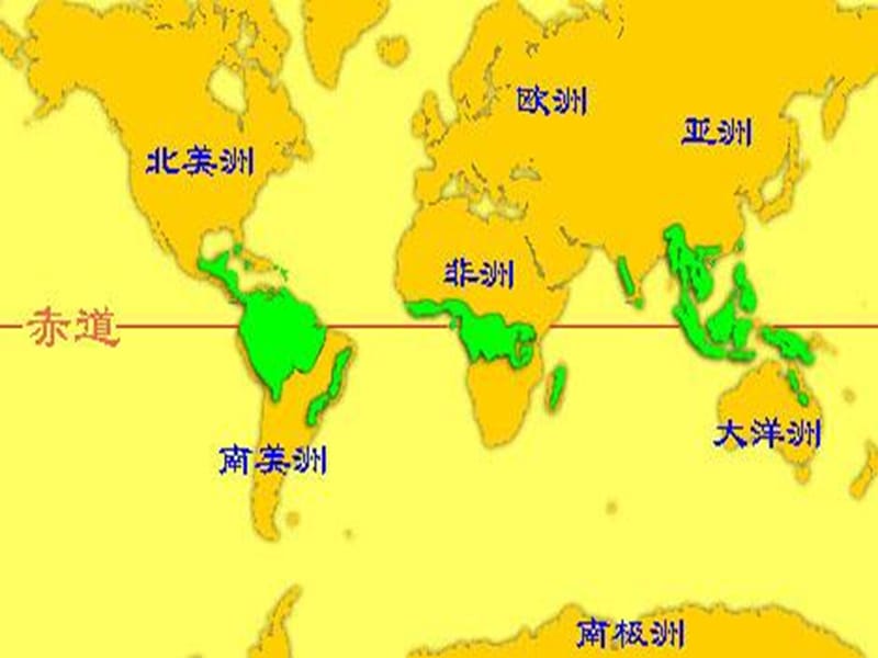 （语文版）初中语文八年级上册《雨林的毁灭--世界性灾难》 .ppt_第3页