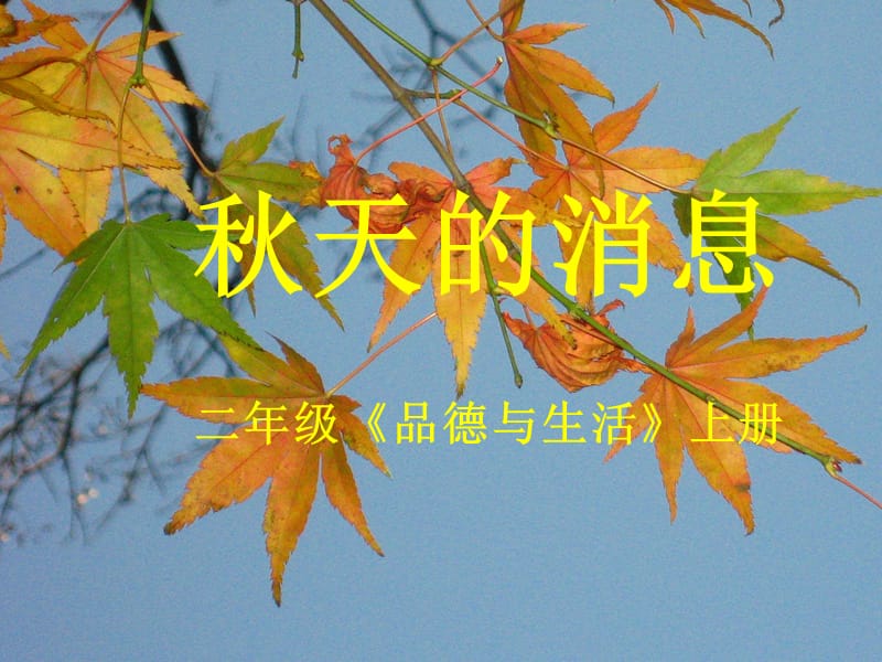 山东人民版小学品德与生活二年级上册《秋天的消息》课件.ppt_第1页