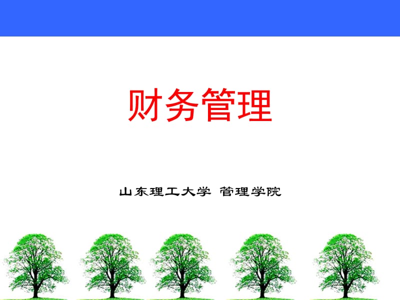 财务管理教学课件PPT筹资决策.ppt_第1页