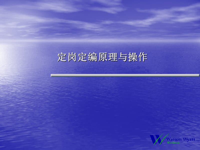 银行人力资源规划定岗定编原理与操作(95页).ppt_第1页