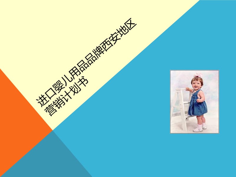 进口婴儿用品品牌地区营销计划书.ppt_第1页