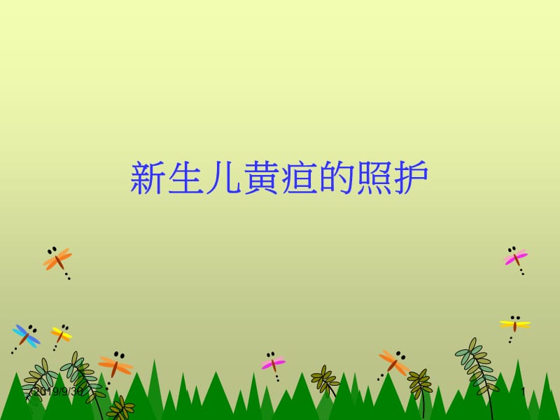 新生儿黄疸的照护.ppt_第1页