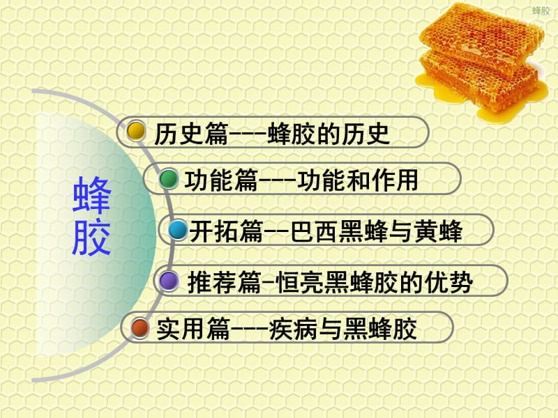 黑蜂胶知识讲座.ppt_第2页