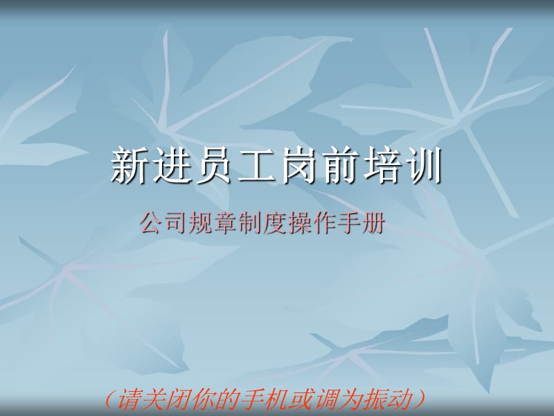 新进员工岗前培训《规章制度手册》.ppt_第1页