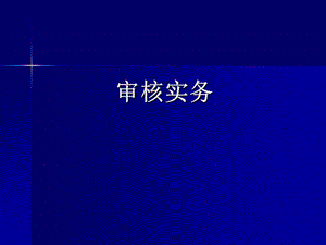 审核实务.ppt