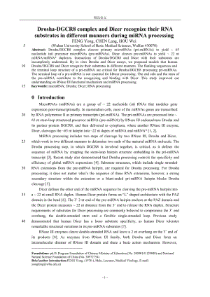 Drosha-DGCR8 complex and Dicer recognize their RNA substrates in different manners during miRNA processing FENG Yong, CHEN Lang, HOU Wei【推荐论文】 .doc
