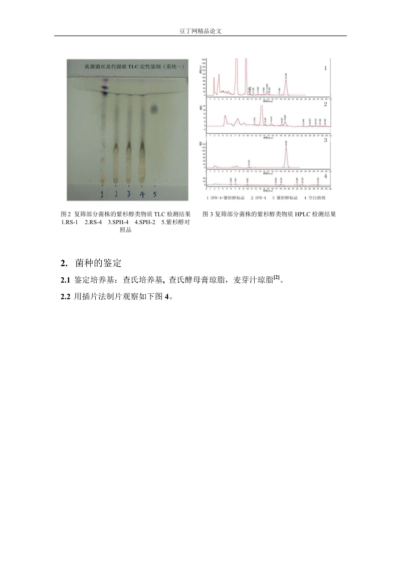 产紫杉醇内生真菌的初步筛选.doc_第3页