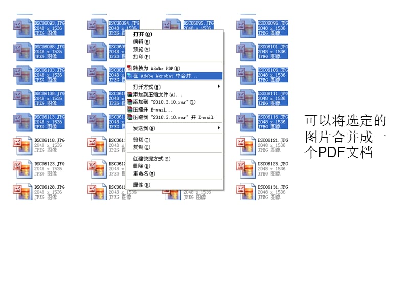 关于PDF的说明.ppt_第2页