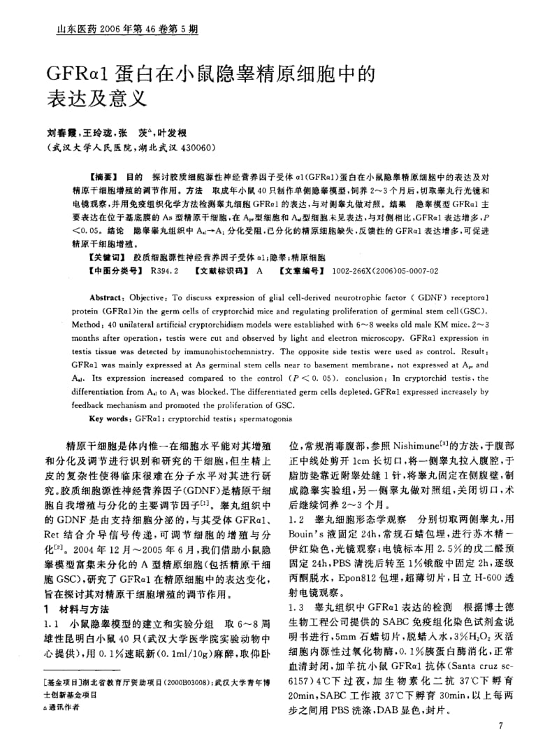 GFRα1蛋白在小鼠隐睾精原细胞中的表达及意义.pdf_第1页