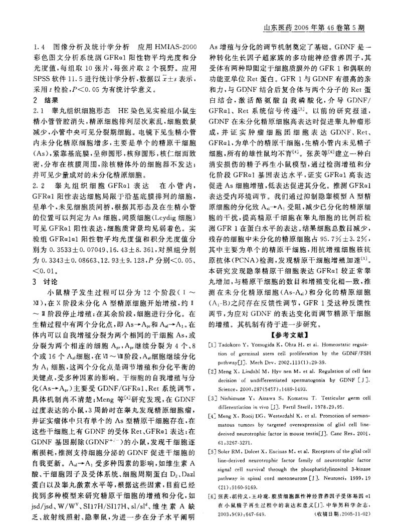 GFRα1蛋白在小鼠隐睾精原细胞中的表达及意义.pdf_第2页