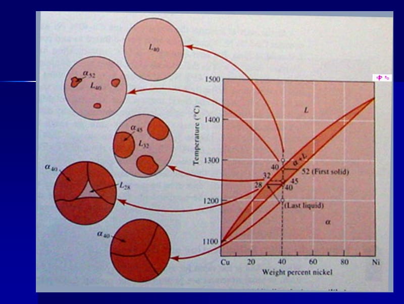 3.2 匀晶相图及固溶体的结晶.pdf_第3页