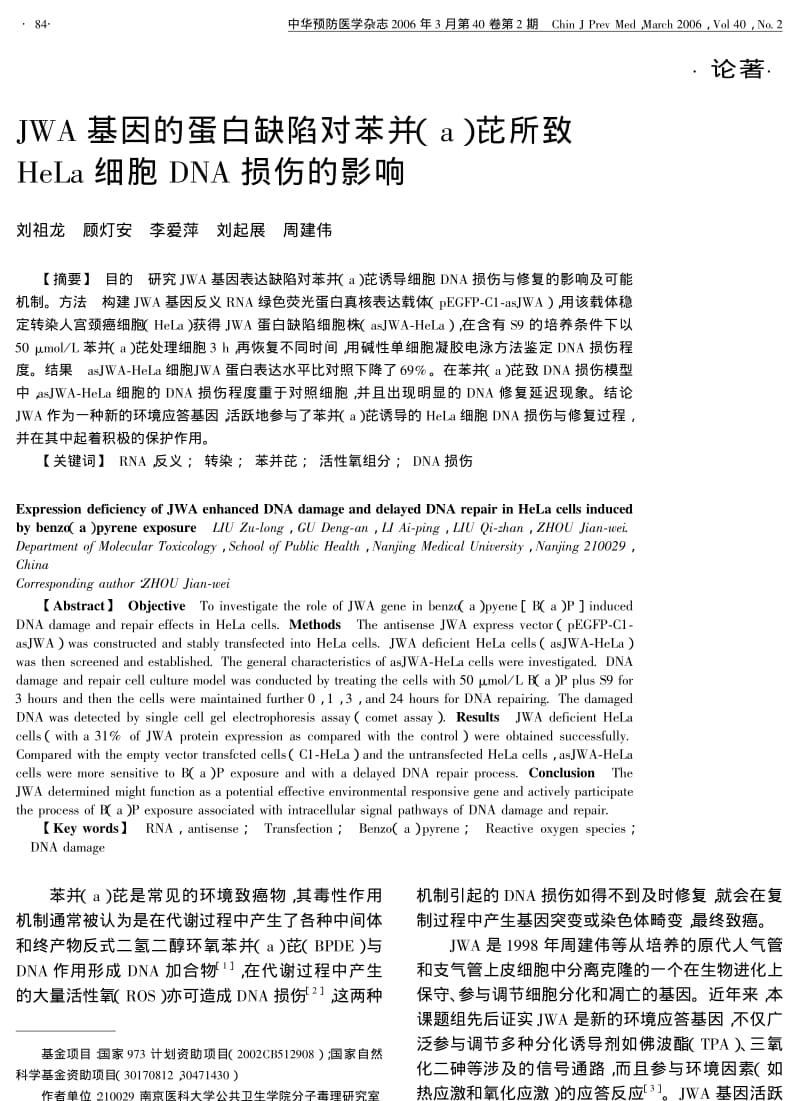 JWA基因的蛋白缺陷对苯并A芘所致HELA细胞DNA损伤的影响.pdf_第1页