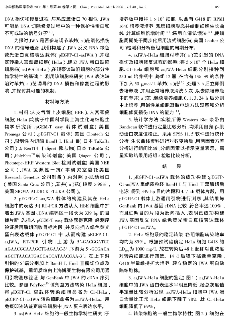 JWA基因的蛋白缺陷对苯并A芘所致HELA细胞DNA损伤的影响.pdf_第2页