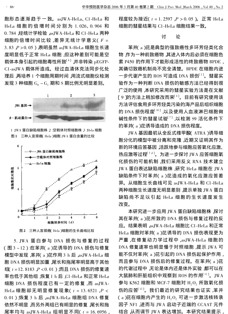 JWA基因的蛋白缺陷对苯并A芘所致HELA细胞DNA损伤的影响.pdf_第3页