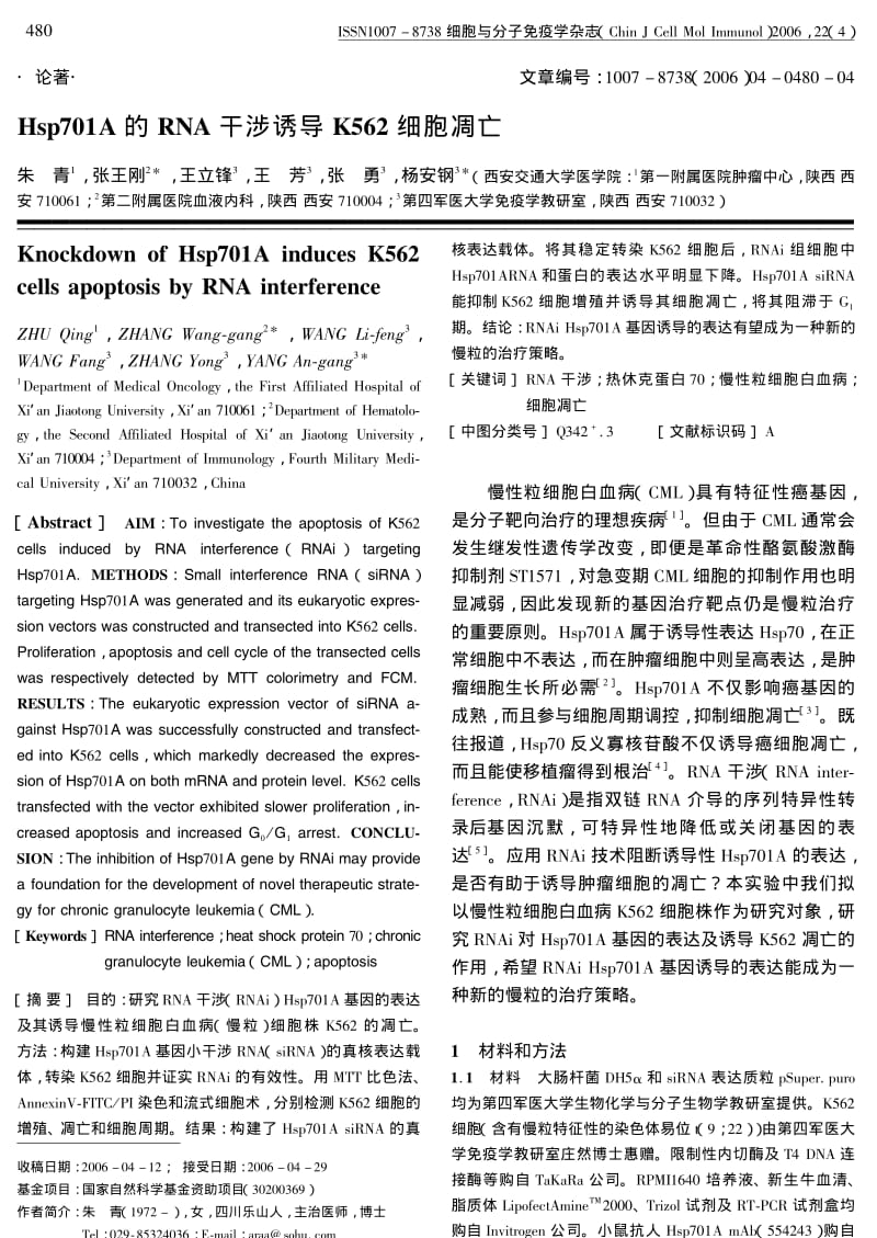 HSP701A的RNA干涉诱导K562细胞凋亡.pdf_第1页