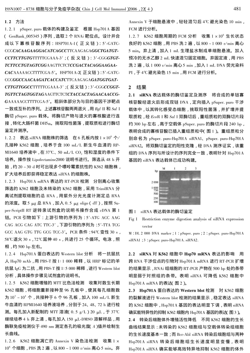 HSP701A的RNA干涉诱导K562细胞凋亡.pdf_第2页