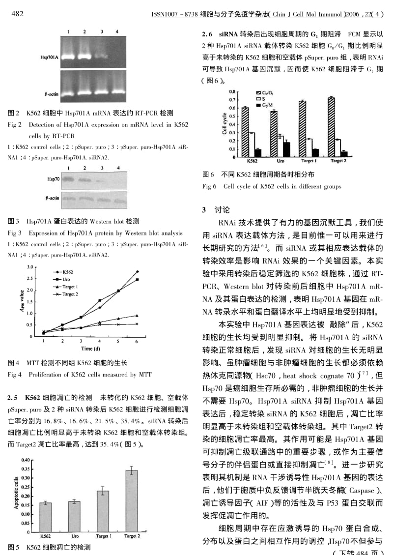 HSP701A的RNA干涉诱导K562细胞凋亡.pdf_第3页