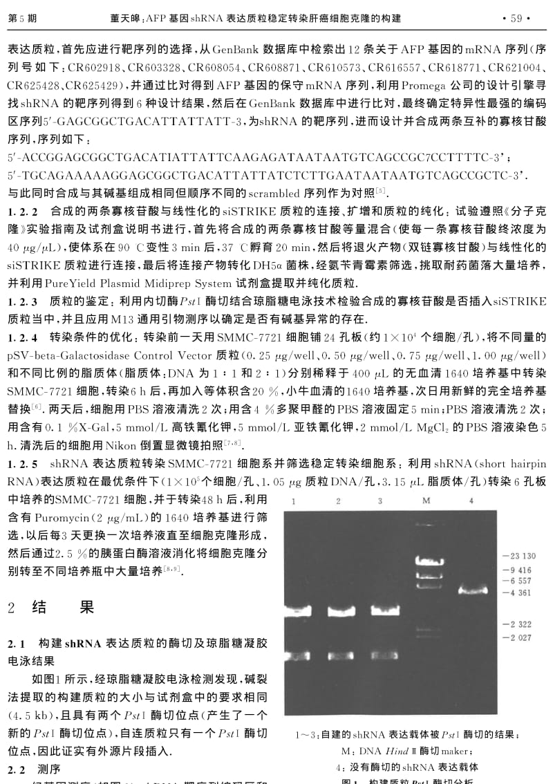 AFP基因SHRNA表达质粒稳定转染肝癌细胞克隆的构建.pdf_第2页