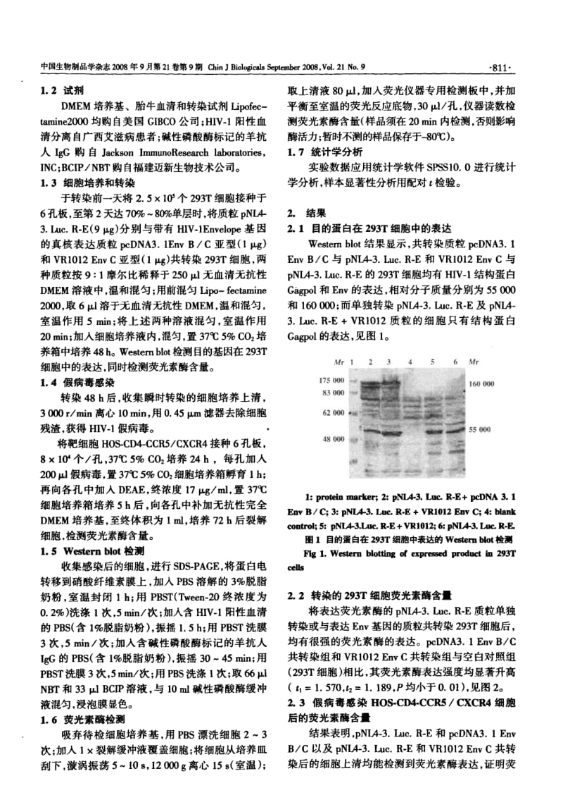HIV1中和抗体检测方法的建立.pdf_第2页
