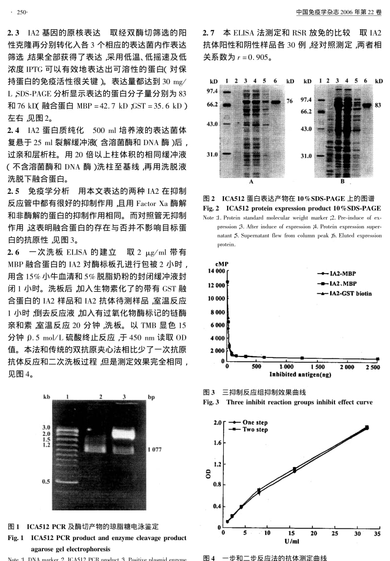 ICA512的表达及人抗ICA512抗体测定方法的建立.pdf_第3页