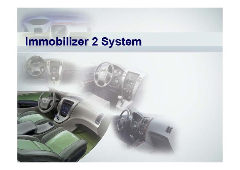 Immobilizer 2 System.pdf_第1页