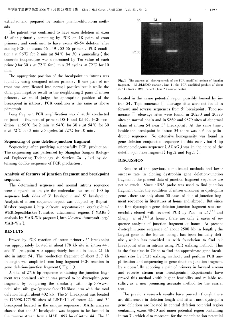 DYSTROPHIN基因第45～54外显子缺失连接片段的克隆和测序.pdf_第2页