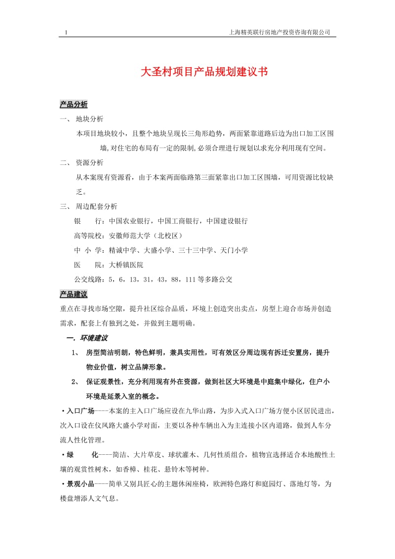 大圣村项目规划建议书.doc_第1页