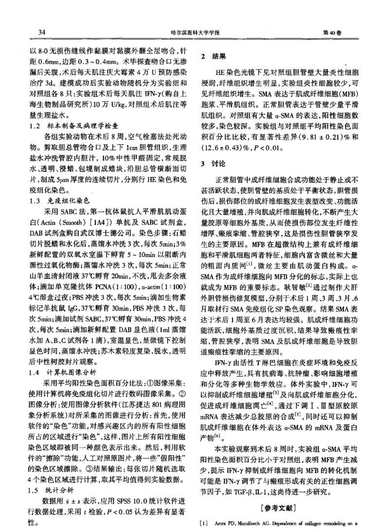 γ-干扰素对兔胆总管愈合过程中α-平滑肌动蛋白表达的影响.pdf_第2页