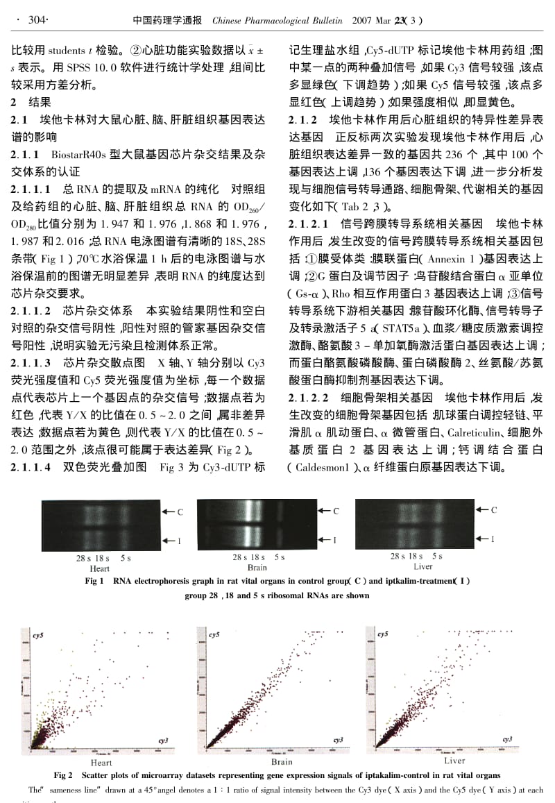 埃他卡林对重要器官心脑肝基因表达的影响.pdf_第3页