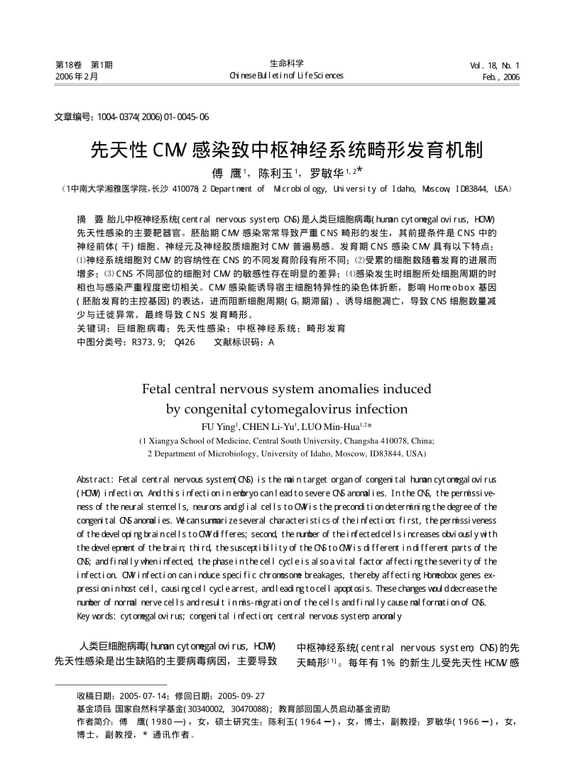 先天性CMV感染致中枢神经系统畸形发育机制.pdf_第1页