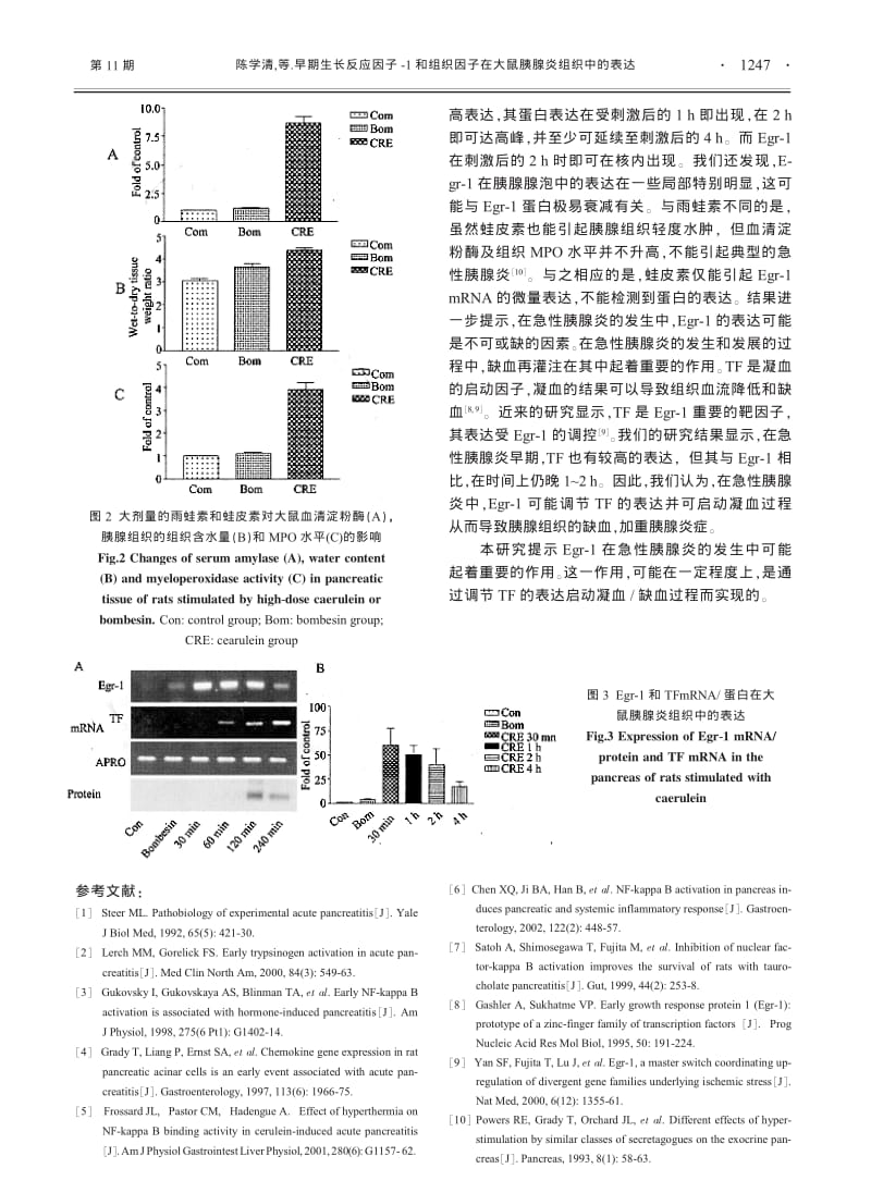 早期生长反应因子-1和组织因子在大鼠胰腺炎组织中的表达.pdf_第3页