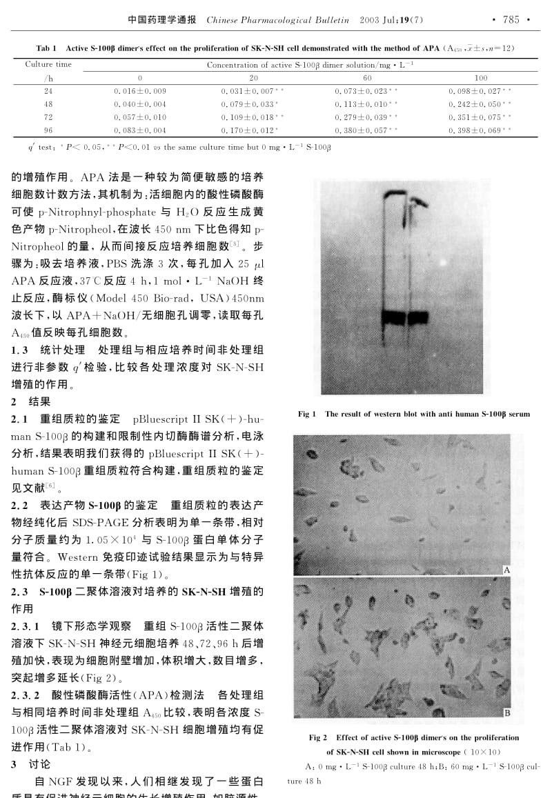 人S-100β体外表达及其对神经元细胞增殖作用的研究.pdf_第2页